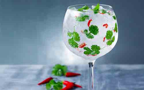 A Gin and Tonic infused with Chilli, lime and coriander in a glass served over ice