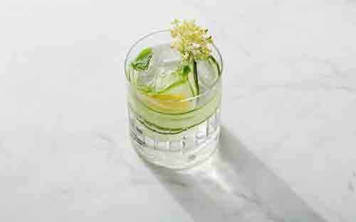 A Gin and Tonic infused with cucumber and elderflower in a glass served over ice and garnished with mint