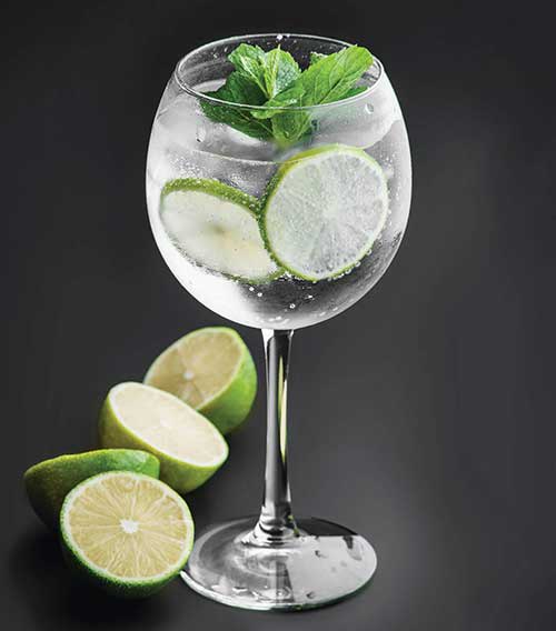 A Gin and Tonic in a tall wine glass served with ice, lime and mint