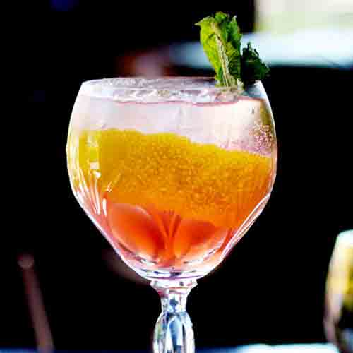 A Gin and Tonic infused with Rhubarb and Mancino Vermouth Ambrato in a glass served over ice and garnished with mint